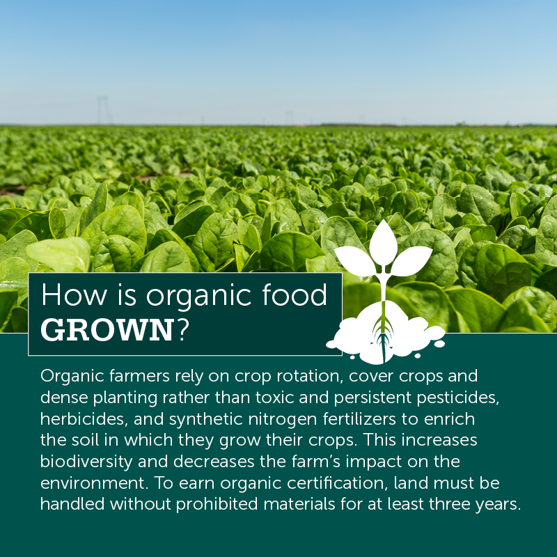 What Does Pestcides In Organic Farming Do?